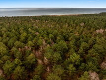 Hælf - 600M from the Sea