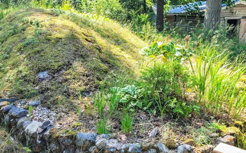 Kelokki: Végétation, Arbuste, Communauté Des Plantes, Couverture De Sol, Jardin, Sol, Plante Herbacée, Aménagement Paysager, Arrière-Cour