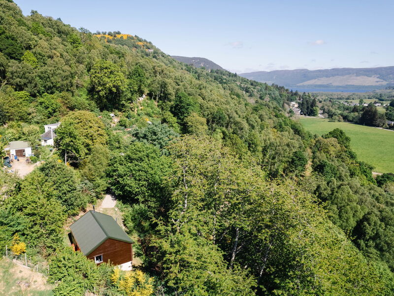 Forest View