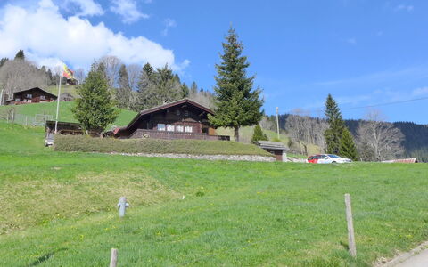 Chalet Träumli: Herbe, Arbre, Prairie, Maison, Zone Rurale, Colline, Montagnes, Paysage, Plaine