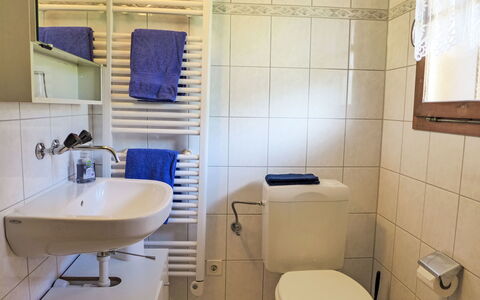 Chalet Träumli: Salle De Bains, Luminaire Plomberie, Siège De Toilette, Toilette, Lavabo, Évier, Sol, Sol, Design Intérieur, Robinet