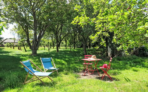 Gwenn Tiny House: Meubles, Mobilier De Jardin, Été, Jardin, Chaise Pliante, Pelouse, Couverture De Sol, Printemps, Chaise