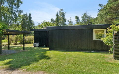 Tatyana - 1.6Km from the Sea: Biens, Ombre, Allée, Ferme