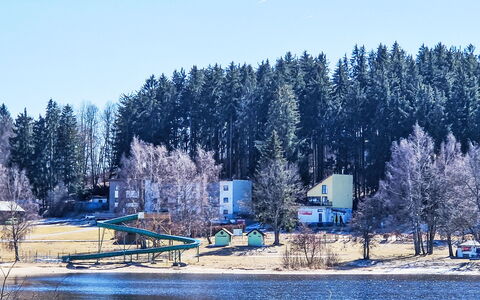 Lakeview Luxury Lodge & Garden: Arbre, L'Hiver, Neige, Gelé, Mélèze, À Feuilles Persistantes, Famille Pine