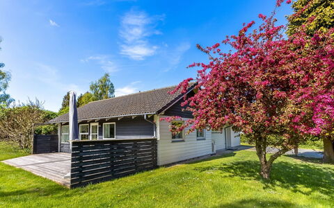 Prohor - 150M from the Sea: Domicile, Chalet, Siding, Dur, Ombre, Planche, Conception, Biens, Porche, Plate-Forme