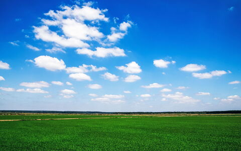Villa Cegonha: Ciel, Nuage, Bleu, Jour, Herbe, Environnement Naturel, Cumulus, Prairie, Horizon, Champ
