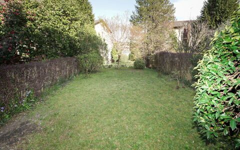 Re.ri: Herbe, Arbuste, Couverture De Sol, Jardin, Pelouse, Arrière-Cour, Suppression Des Plantes Ligneuses, Haie, Aménagement Paysager