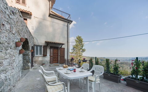 Viola: Chaise, Plante D'Appartement, Balcon