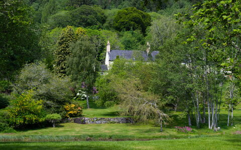 Farmburn: Arbre, Feuille, Herbe, La Nature, Environnement Naturel, Végétation, Branche, Arbuste, Paysage Naturel