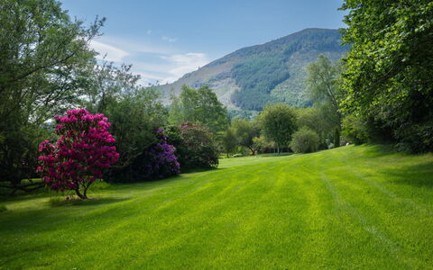 Farmburn Bothy: Vert, La Nature, Environnement Naturel, Paysage Naturel, Prairie, Arbuste, Paysage, Jardin, Prairie, Couverture De Sol