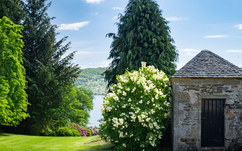 Farmburn Bothy: Vert, Feuille, Fleur, Végétation, Arbuste, Jardin, Printemps, Couverture De Sol, Aménagement Paysager, Jardin Botanique