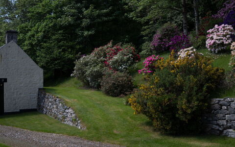 Farmburn Bothy: Herbe, Feuille, Arbuste, Paysage, Jardin, Communauté Des Plantes, Chalet, Couverture De Sol, Mur De Pierre