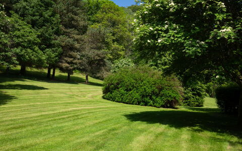 Farmburn Bothy: Vert, Herbe, Arbre, Environnement Naturel, Feuille, La Nature, Arbuste, Paysage Naturel, Prairie, Jardin