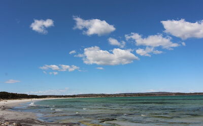 Felicia - 200M from the Sea