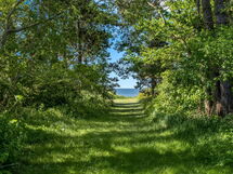 Waltraud - 50M from the Sea