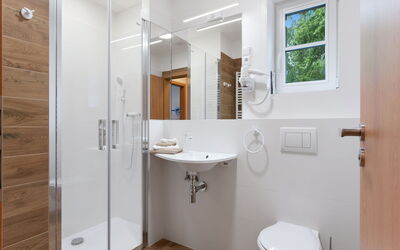 Logement:&nbsp;V Kapradí 5.4