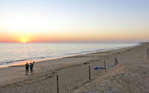 Les Voiliers: Ciel, Plage, Plan D'Eau, L'Eau, Horizon, Environnement Naturel, Côte, Mer, Rive