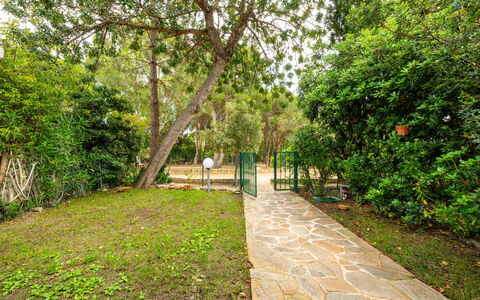 Casa ai Mandorli: Feuille, Végétation, Arbuste, Jardin, Piste, Ombre, Printemps, Passerelle, Suppression Des Plantes Ligneuses, Lumière Du Soleil