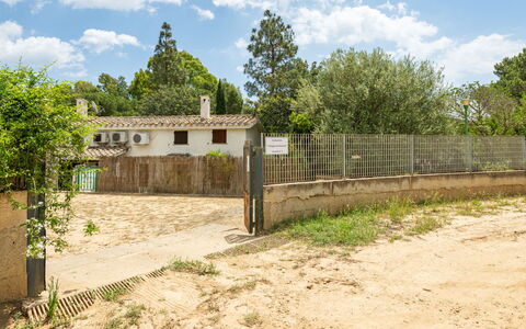 Casa ai Mandorli: Arbre, Zone Rurale, Lot Terre, Clôture, Village, Biens, Sol, Accueil Escrime, Arrière-Cour, Ferme