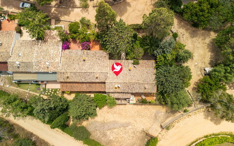 Casa ai Mandorli: Arbre, Paysage, Zone Résidentielle, Vue Du Ciel, Jardin, Aménagement Paysager, Photographie Aérienne, Biens, Banlieue, Village