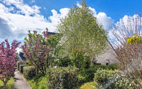 Les Demeures du Parc: Feuille, Branche, Végétation, Arbuste, Jardin, Communauté Des Plantes, Printemps, Couverture De Sol, Suppression Des Plantes Ligneuses, Brindille