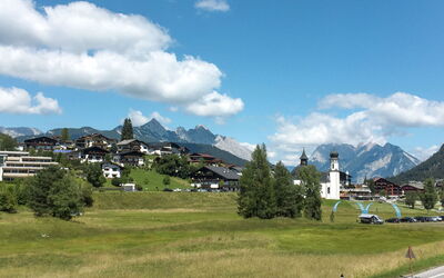 Bergnest