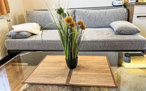 Hammel: Meubles, Sol, Bois, Sol, Design Intérieur, Canapé, Table, Salon, Parquet, Éclairage