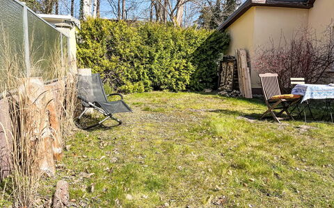 Dat Huus: Herbe, Arbuste, Jardin, Lot Terre, Couverture De Sol, Arrière-Cour, Pelouse, Ombre, Cour, Aménagement Paysager