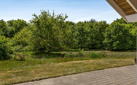 Truels - 30Km from the Sea: Vert, Feuille, Branche, Végétation, Arbuste, Plaine, Jardin, Suppression Des Plantes Ligneuses, Lumière Du Soleil, Pelouse