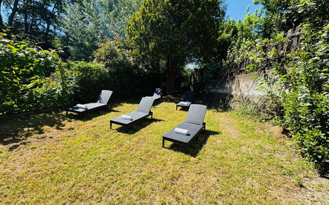 Cottage Wisteria: Vert, Feuille, Végétation, Arbuste, Jardin, Mobilier De Jardin, Couverture De Sol, Lumière Du Soleil, Ombre, Pelouse