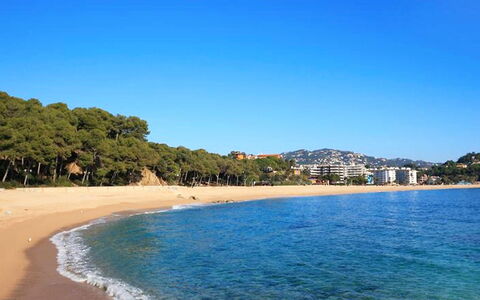 Tramuntana: Plan D'Eau, Plage, Mer, Côte, Ciel, Rive, Océan, L'Eau, Cotiers Et Relief Océaniques, Baie