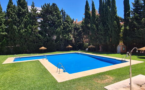 Carib Playa: Piscine, Loisir, Recours, Jardin, Ombre, Aménagement Paysager, Arrière-Cour, Pelouse, À Feuilles Persistantes, Hacienda