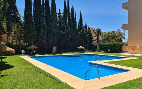 Carib Playa: Piscine, Jardin, Aménagement Paysager, Pelouse, Hacienda, Recours, Ombre, Cour, Arrière-Cour, À Feuilles Persistantes