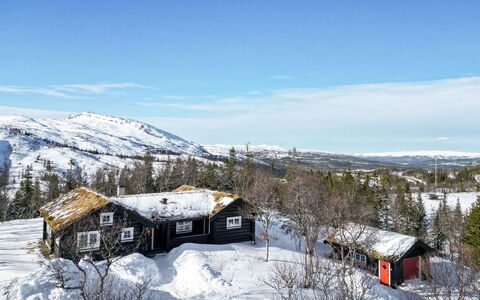 Fjälldrömmen: Bleu, Piscine, Recours, Ombre, Eco Hôtel, Hôtel, Tropiques, Aménagement Paysager, Villa