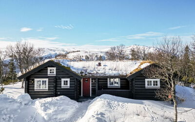 Fjälldrömmen