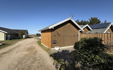 Saija - 100M from the Sea: 