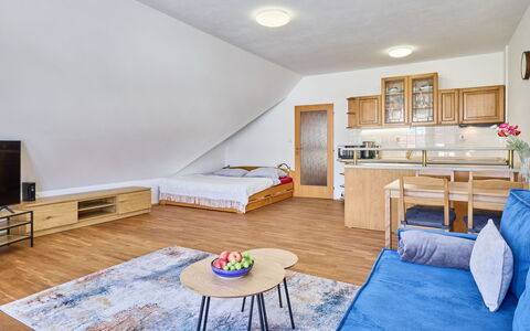 Rosie-Dolní Náměstí: Meubles, Design Intérieur, Bois, Pièce, Sol, Sol, Plafond, Canapé, Appartement, Parquet