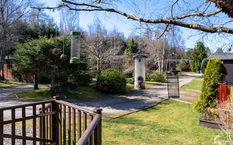 Lodge 8: Arbre, Arbuste, Jardin, Pelouse, Aménagement Paysager, Parc, Cour, Arrière-Cour, Passerelle, À Feuilles Persistantes