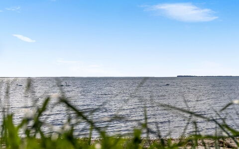Ørn - 5M from the Sea: Biens, Ombre, Allée, Ferme