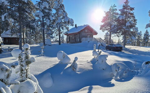 Aurora: Bois, Chalet, Cabane En Rondins, Forêt, Cabanon, Batiments Jardin, Mélèze, Des Bois, Tache De Bois
