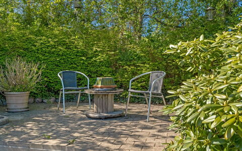 Welma - 200M from the Sea: Vert, Feuille, Végétation, Mobilier De Jardin, Meubles, Arbuste, Communauté Des Plantes, Jardin, Ombre