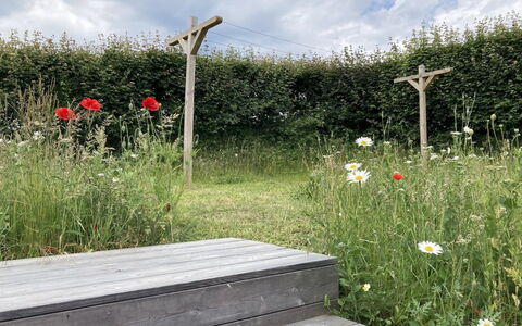 Valia - 20M from the Sea: Arbuste, Communauté Des Plantes, Lot Terre, Jardin, Couverture De Sol, Printemps, Prairie, Wildflower, Plante Herbacée