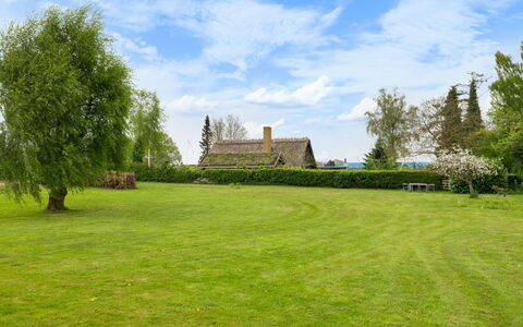 Andine - 250M from the Sea: Vert, Herbe, Arbre, La Nature, Arbuste, Prairie, Paysage, Lot Terre, Jardin
