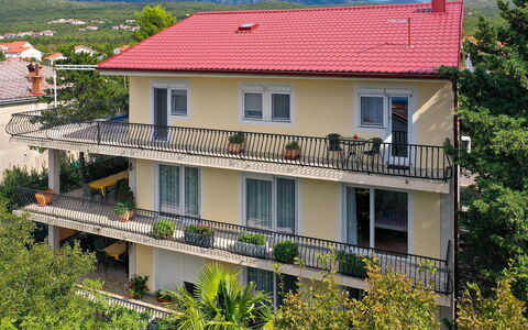 Logement:&nbsp;Pintar 185.1