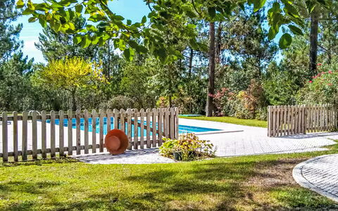 Ua 25- Pine Villa: Arbuste, Jardin, Ombre, Arrière-Cour, Pelouse, Aménagement Paysager, Cour, Piscine, Conception, Eco Hôtel