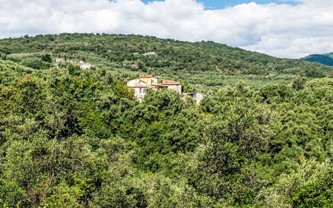 Sul Cammino: La Nature, Environnement Naturel, Feuille, Végétation, Paysage Naturel, Colline, Écorégion, Paysage, Communauté Des Plantes, Forêt