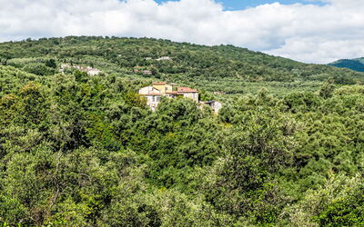 Sul Cammino