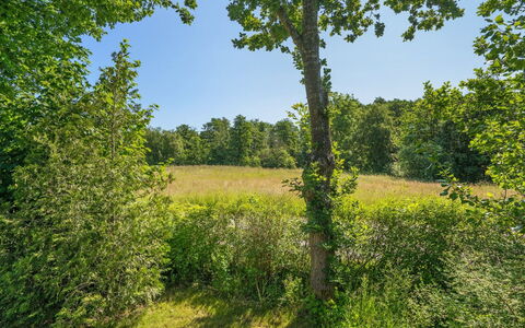 Steffenie - 250M from the Sea: Bois, Domicile, Porche, Plate-Forme, Dur, Toit, Tache De Bois, Parquet, Eco Hôtel