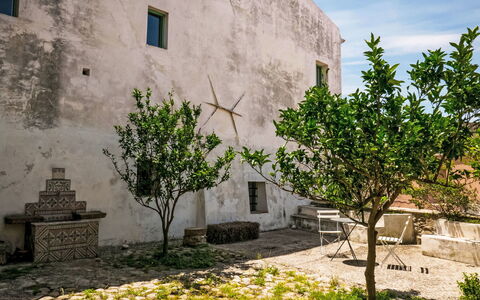 Centro: Mur, Jardin, Cour, Pot De Fleur, Aménagement Paysager, Hacienda, Plante D'Appartement, Passerelle, Dalle