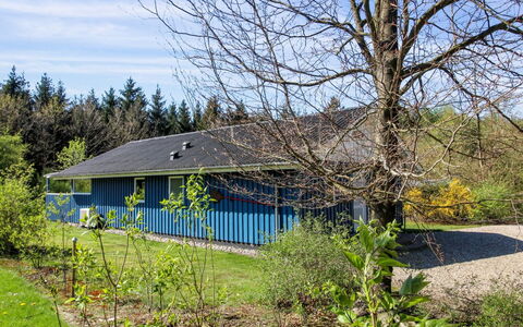 Alia - 30Km from the Sea: Biens, Ombre, Allée, Ferme